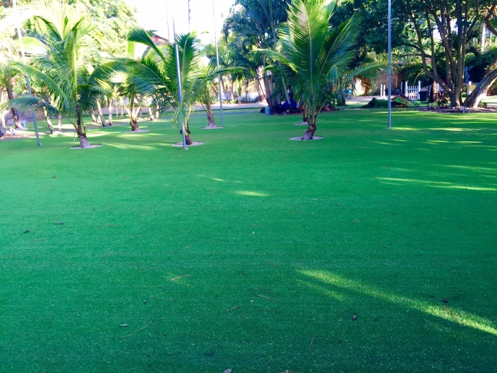 Synthetic Turf Ripley, California Rooftop, Front Yard Landscaping