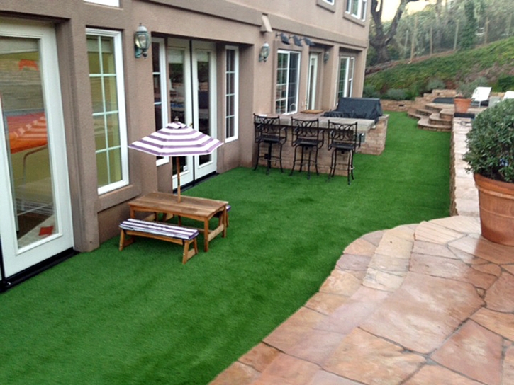 Synthetic Turf Supplier Alpine Village, California Landscape Design, Backyard Landscaping