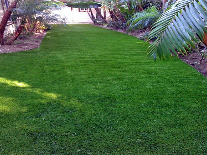 Synthetic Turf Supplier Cathedral City, California Landscape Ideas, Backyard Garden Ideas