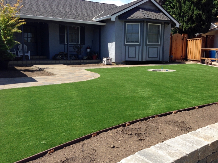 Synthetic Turf Supplier El Cerrito, California Landscape Ideas, Front Yard Landscape Ideas