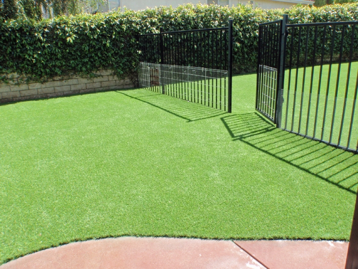 Synthetic Turf Supplier El Cerrito, California Dog Pound, Front Yard