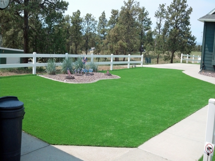 Synthetic Turf Supplier El Cerrito, California Lawns, Small Front Yard Landscaping