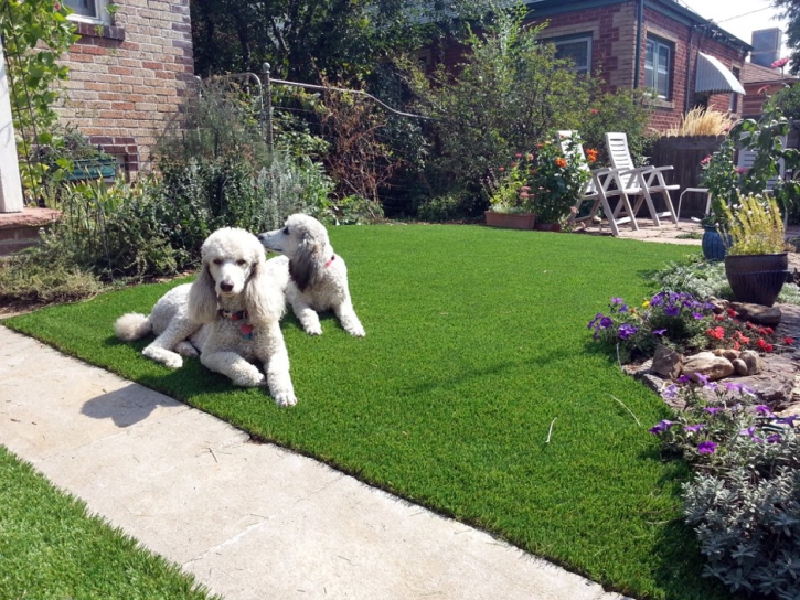 Synthetic Turf Supplier Lakeland Village, California Dogs, Landscaping Ideas For Front Yard