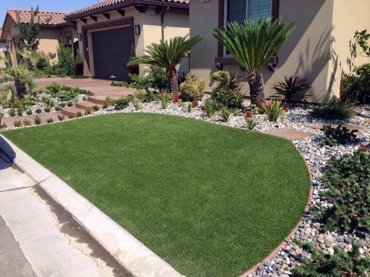 Synthetic Turf Supplier Mountain Center, California Rooftop, Front Yard