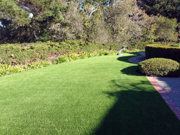 Synthetic Turf Supplier Ripley, California Landscape Photos, Front Yard Design