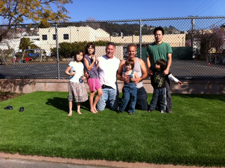 Synthetic Turf Supplier Romoland, California Lawn And Landscape, Commercial Landscape