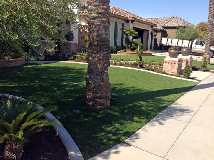 Synthetic Turf Supplier Temecula, California City Landscape, Front Yard Landscape Ideas