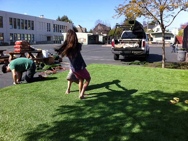 Synthetic Turf Supplier Valle Vista, California Landscape Photos, Commercial Landscape