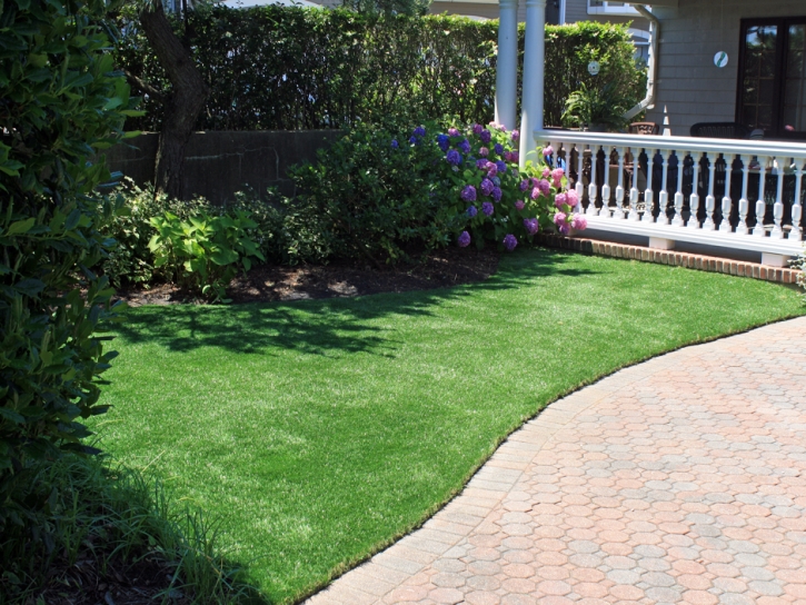 Synthetic Turf Supplier Wildomar, California Rooftop, Front Yard Ideas