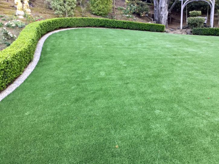 Synthetic Turf Supplier Wildomar, California Lawns, Backyard Design