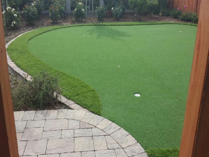 Synthetic Turf Vista Santa Rosa, California Rooftop, Backyard Garden Ideas