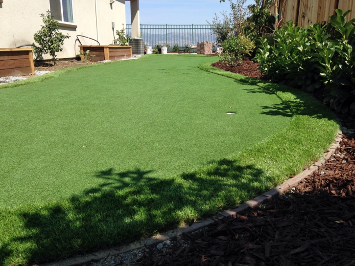 Turf Grass Garnet, California Landscape Rock, Backyard Designs