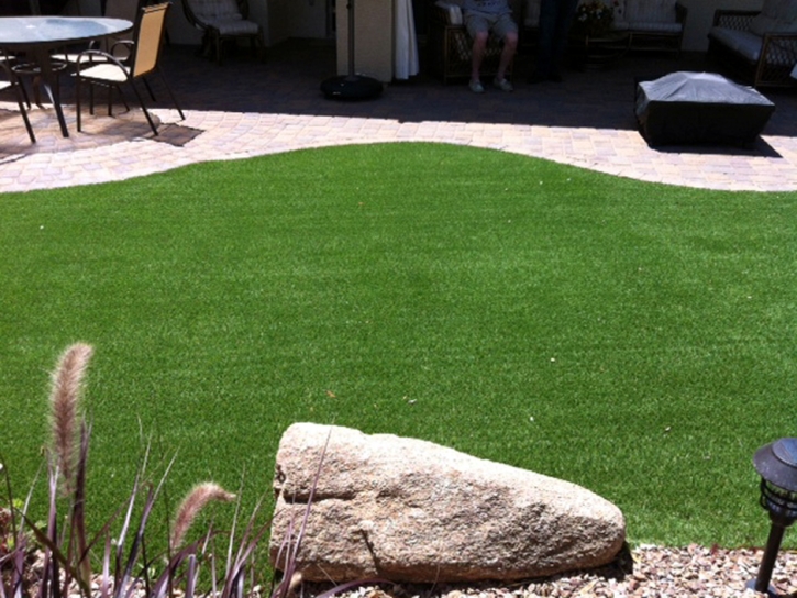 Turf Grass Moreno Valley, California Dog Run, Backyard Landscaping